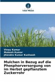 Mulchen in Bezug auf die Phosphorversorgung von im Herbst gepflanztem Zuckerrohr Mulchen in Bezug auf die Phosphorversorgung von im Herbst gepflanztem Zuckerrohr