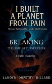 I Built a Planet from Pain I Built a Planet from Pain