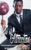 Law of Attraction (eBook, ePUB)