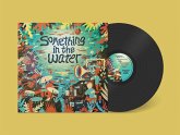 Something In The Water Something In The Water
