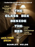The Glass Box Beside The Bed (eBook, ePUB)