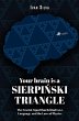 Your Brain Is a Sierpinski Triangle... - Bild 1