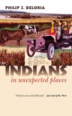 Indians in Unexpected Places (eBook, ePUB)