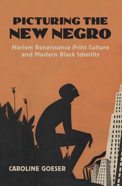 Cover Picturing the New Negro (eBook, ePUB)