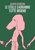 Le stelle cadranno tutte insieme (eBook, ePUB)