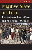 Fugitive Slave on Trial (eBook, ePUB)