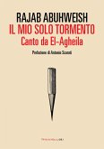 Il mio solo tormento (eBook, ePUB)