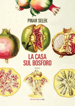 Cover La casa sul bosforo (eBook, ePUB)