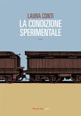 La condizione sperimentale (eBook, ePUB) La condizione sperimentale (eBook, ePUB)