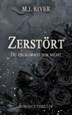 Cover Zerstört - Du entkommst ihm nicht