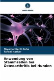 Anwendung von Stammzellen bei Osteoarthritis bei Hunden Anwendung von Stammzellen bei Osteoarthritis bei Hunden