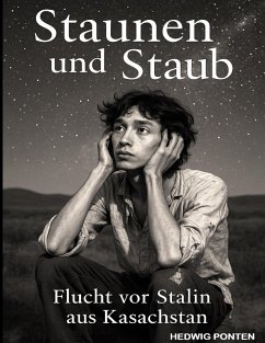 Cover Staunen und Staub