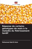 Réponse de certains génotypes de maïs à la maladie du flétrissement tardif