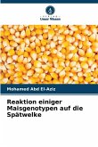 Reaktion einiger Maisgenotypen auf die Spätwelke