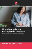 Um olhar sobre a extração de madeira Um olhar sobre a extração de madeira