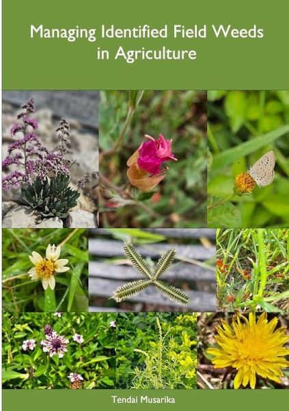 Managing Identified Field Weeds in Agriculture