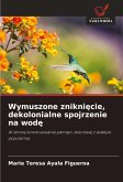 Wymuszone znikni¿cie, dekolonialne spojrzenie na wod¿