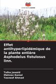 Effet antihyperlipidémique de la plante entière Asphodelus fistulosus linn.