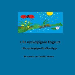 Cover Lilla nyckelpigans flygrutt