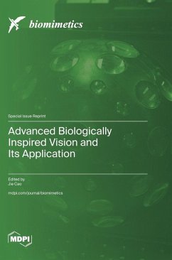 Cover Advanced Biologically Inspired Vision and Its Application