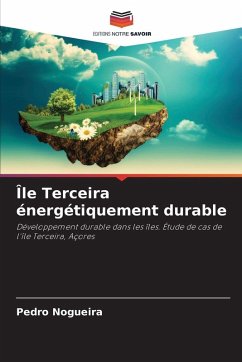 Cover Île Terceira énergétiquement durable