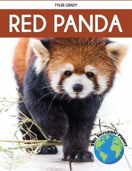Red Panda Red Panda