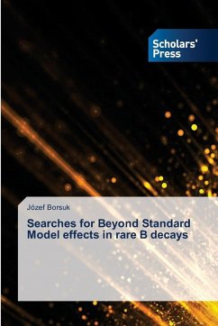 Searches for Beyond Standard Model effects in rare B decays - Borsuk, Józef