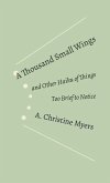 A Thousand Small Wings