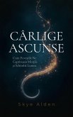 Cârlige Ascunse (eBook, ePUB)