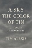 A Sky the Color of Tin (eBook, ePUB)