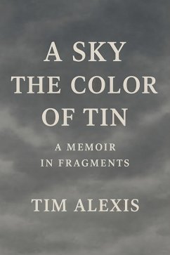 A Sky the Color of Tin (eBook, ePUB) - Alexis, Tim