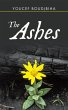 The Ashes (eBook, ePUB) - Bild 1