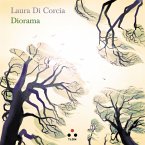 Diorama (eBook, ePUB)