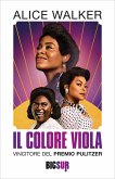 Il colore viola (eBook, ePUB)