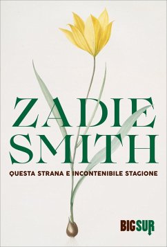 Cover Questa strana e incontenibile stagione (eBook, ePUB)