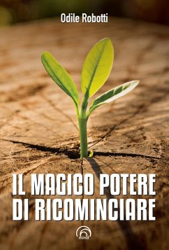 Cover Il magico potere di ricominciare (eBook, ePUB)