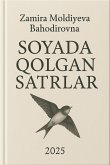 Soyada qolgan satrlar (eBook, ePUB)