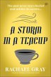 A Storm in a Teacup (eBook, ePUB) - Bild 1