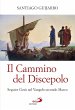 Il Cammino del Discepolo (eBook, ePUB) - Bild 1