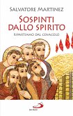 Sospinti dallo Spirito. Ripartiamo dal Cenacolo (eBook, ePUB)