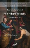 Non rimanere caduti. Le quindici malattie dell'amore cristiano secondo Papa Francesco. Itinerario biblico (eBook, ePUB) Non rimanere caduti. Le quindici malattie dell'amore cristiano secondo Papa Francesco. Itinerario biblico (eBook, ePUB)