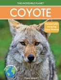 Coyote