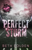 Perfect Storm (Discreet Edition) Perfect Storm (Discreet Edition)
