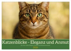 Katzenblicke - Eleganz und Anmut (Wandkalender 2026 DIN A2 quer), CALVENDO Monatskalender