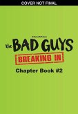 Bad Guys TV Chapter Book #2