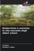 Baldacchino e cemento: la vita nascosta degli alberi urbani