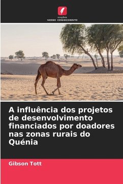 Cover A influência dos projetos de desenvolvimento financiados por doadores nas zonas rurais do Quénia