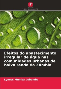 Cover Efeitos do abastecimento irregular de água nas comunidades urbanas de baixa renda da Zâmbia