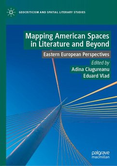 Mapping American Spaces in Literature and Beyond (eBook, PDF)