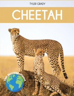 Cover Cheetah
